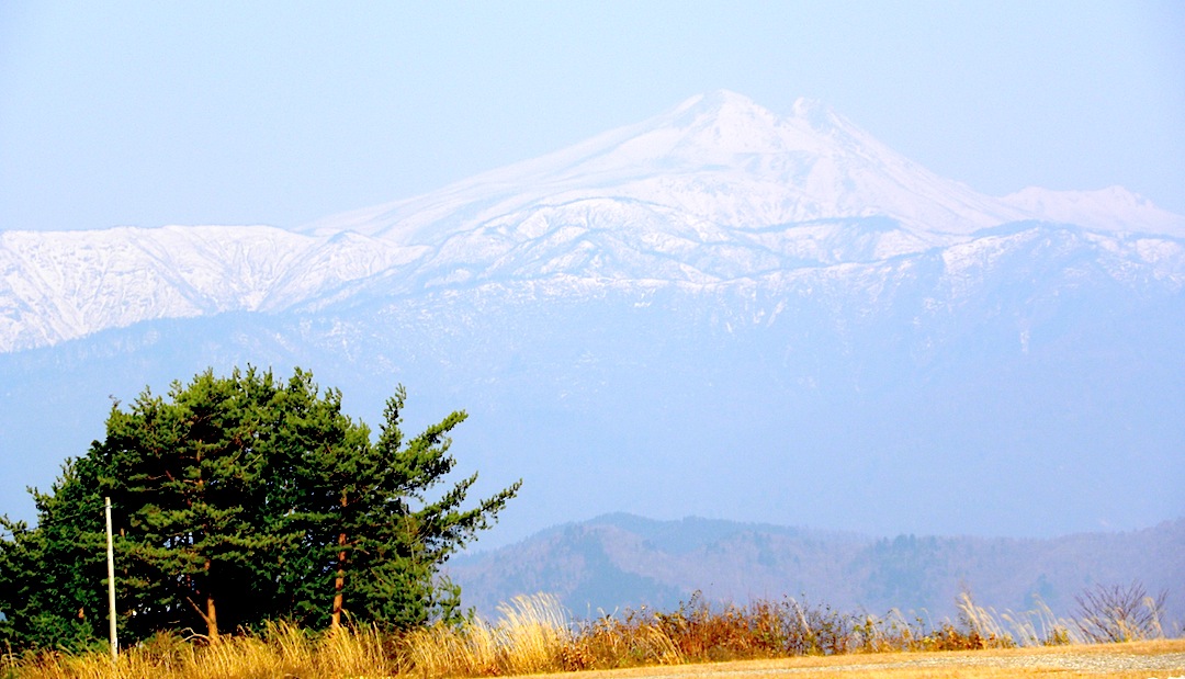 c0078410_7401551.jpg