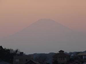 d0150013_774257.jpg