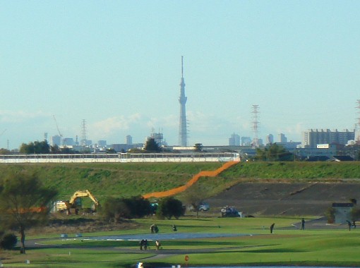 c0000718_1347591.jpg