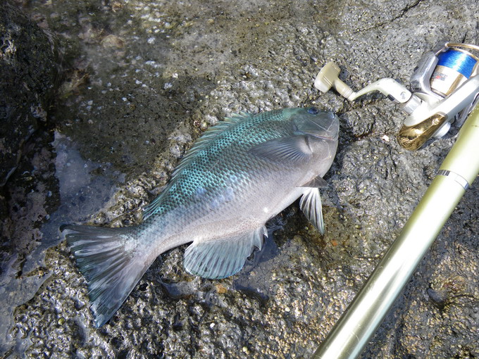 c0202727_22459.jpg
