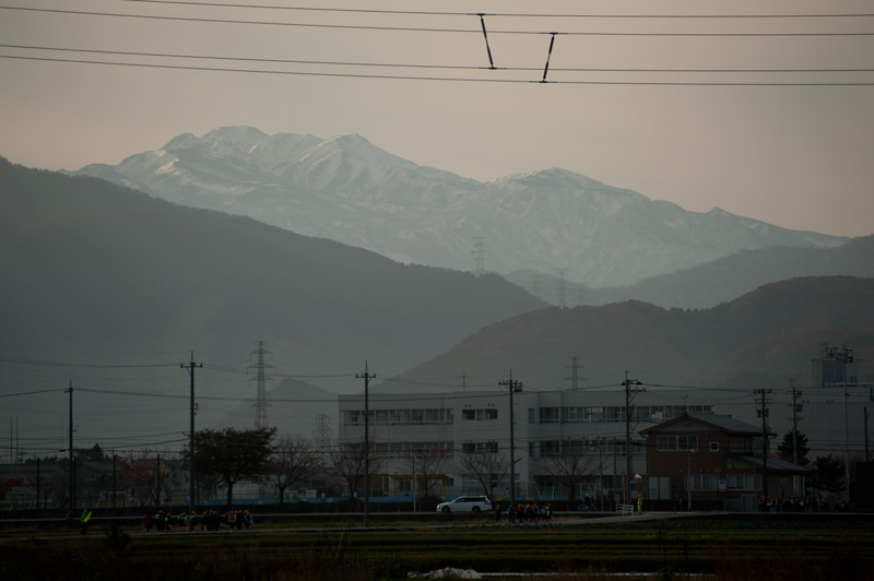 b0177233_52809.jpg