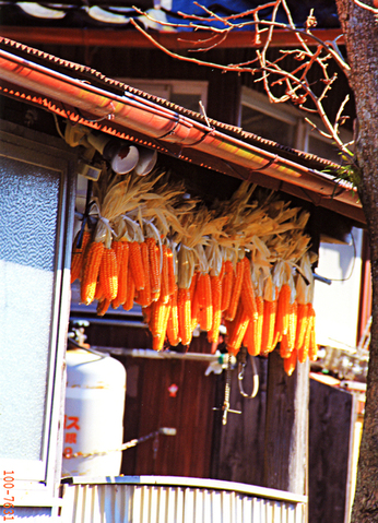 b0214743_13524087.jpg