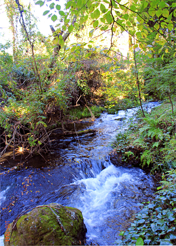 b0214743_13571426.jpg