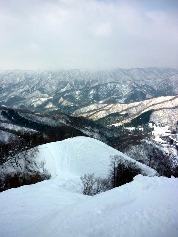 d0186245_16486.jpg