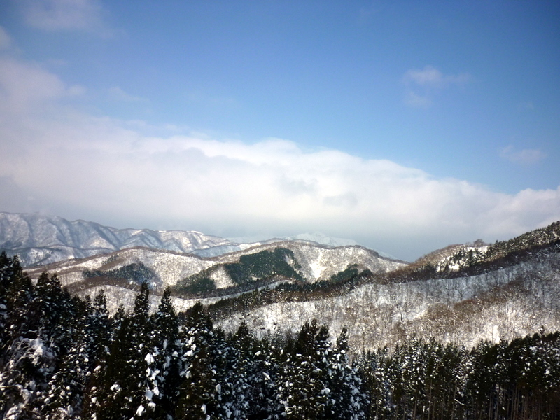 d0186245_18392.jpg