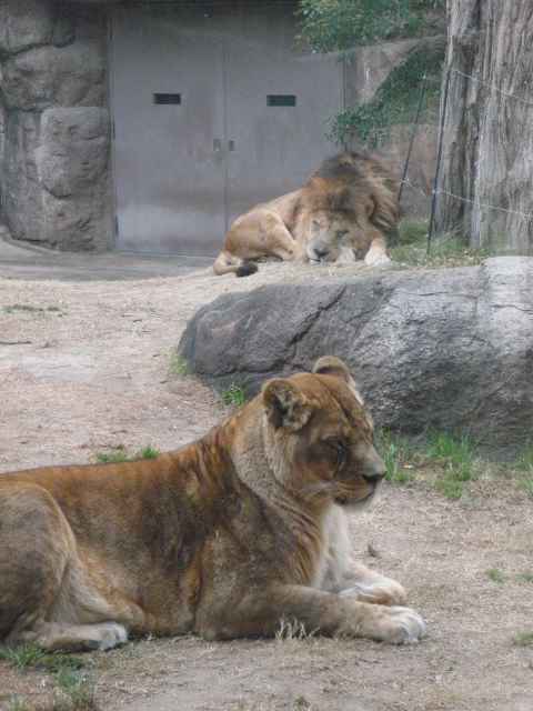 a0095546_3324476.jpg