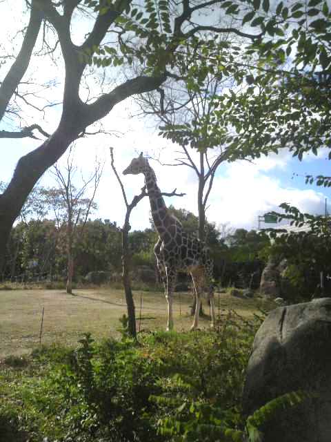 a0095546_3372357.jpg