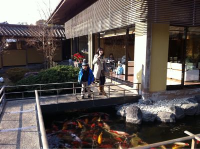 旅館は鯉がいっぱい(^-^)/_f0141246_16343646.jpg