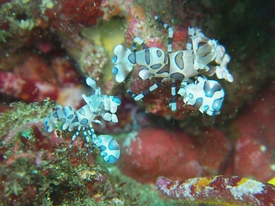 d0058549_19554072.jpg