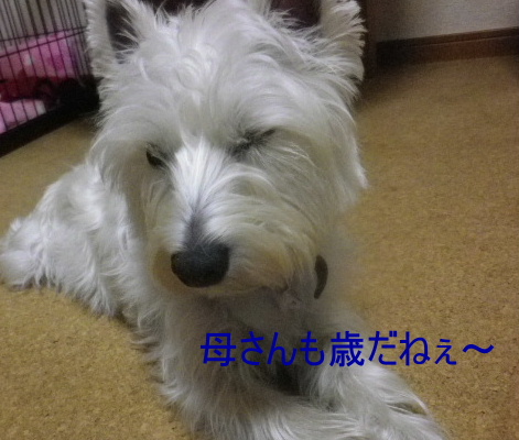 b0239151_21212981.jpg