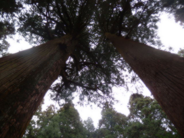 f0214351_11364861.jpg