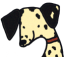c0128652_1552330.png