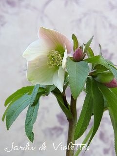 e0118257_1711181.jpg