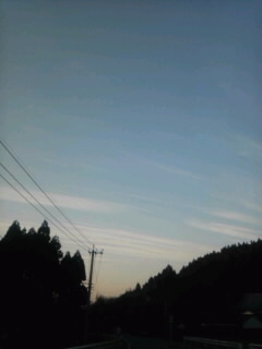 ゆく年_a0117358_242212.jpg