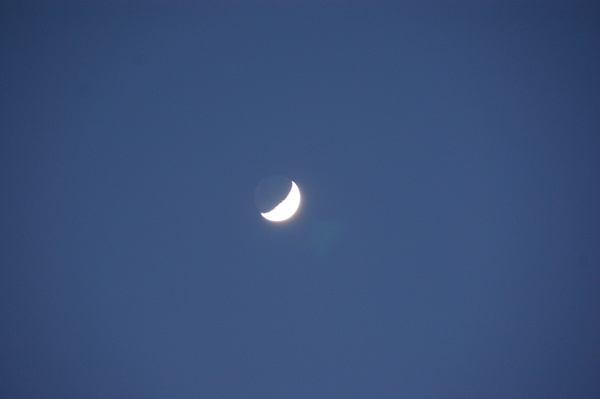 b0241761_2237487.jpg