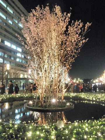b0145863_12181418.jpg