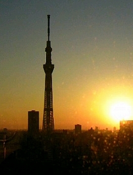 b0145863_23554226.jpg