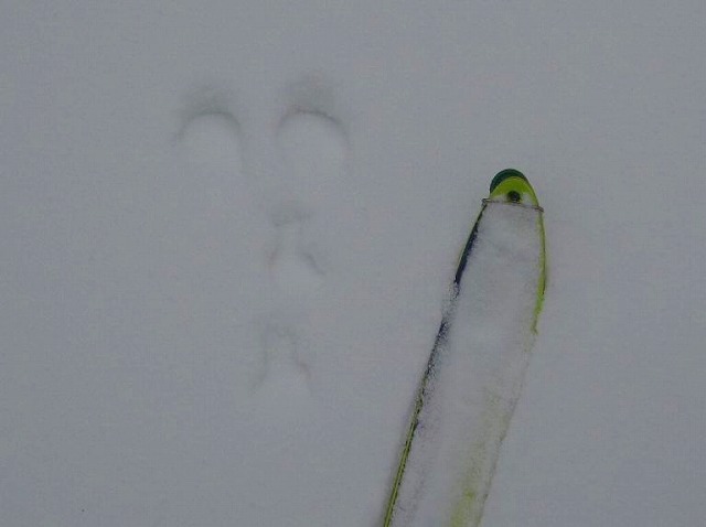 2011.12.30  山スキー風呂塔_c0219866_18245112.jpg