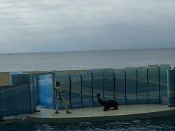 c0163981_78761.jpg
