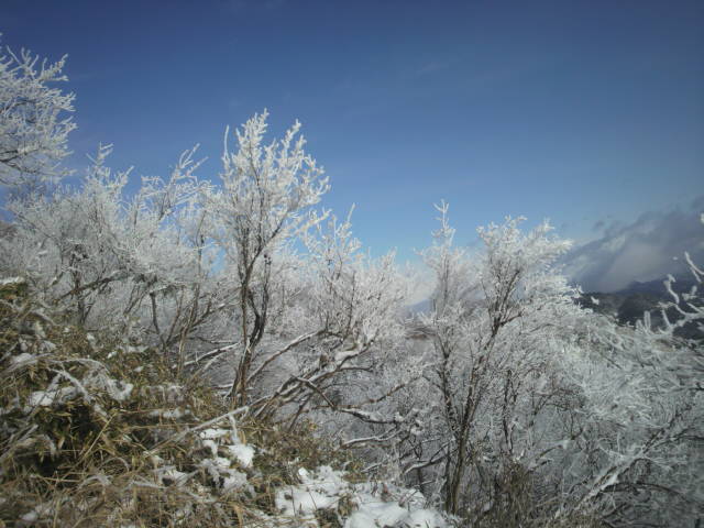 c0212083_8295746.jpg