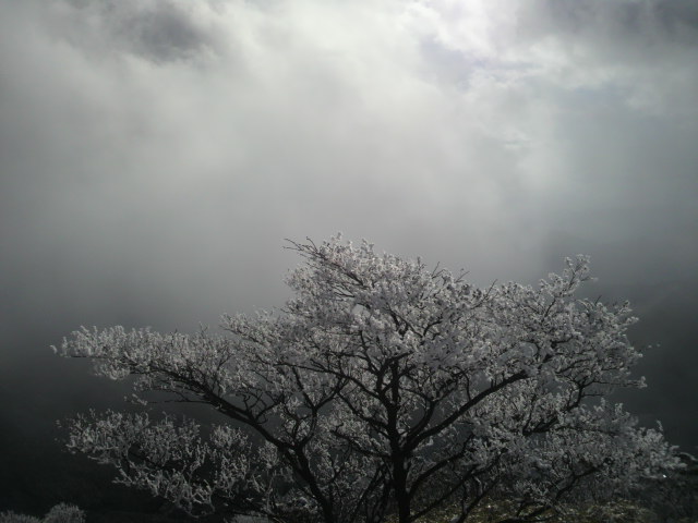 c0212083_8322541.jpg