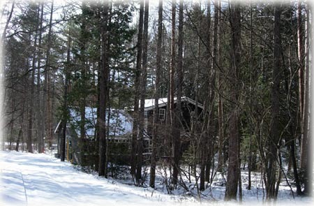 a0130586_1551294.jpg