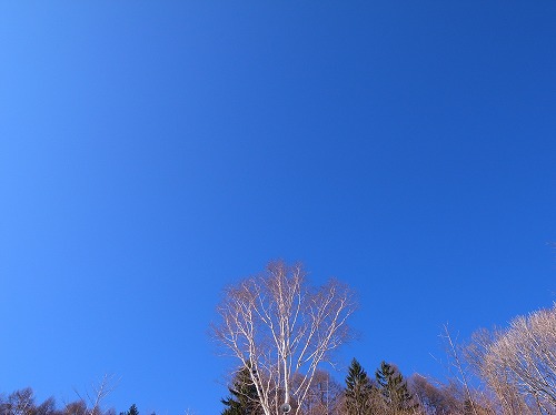 b0119493_20372068.jpg