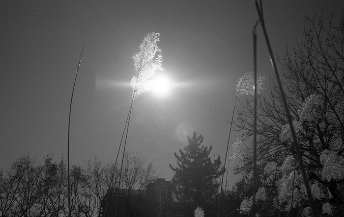 c0214494_7251192.jpg