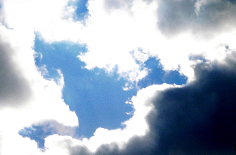 d0099995_14806.jpg