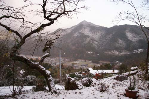 徳島でホワイトクリスマス_f0106597_180297.jpg