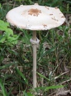 c0186001_23282746.jpg