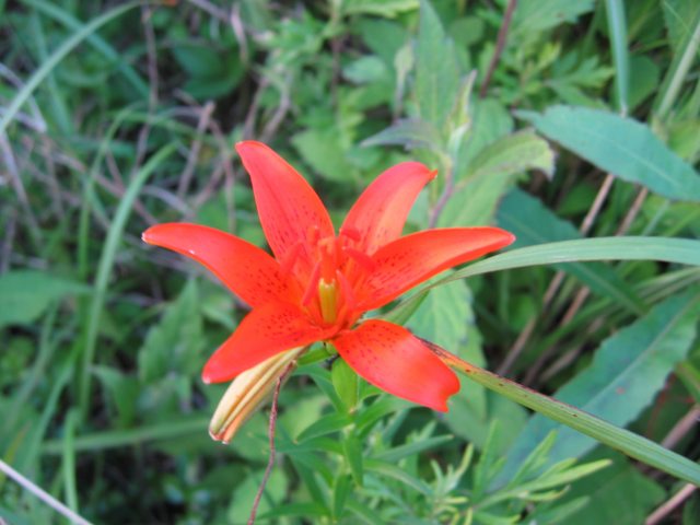 a0246703_2384334.jpg