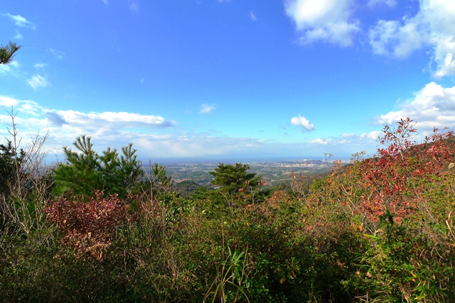 a0097006_046219.jpg