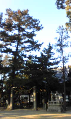 c0180209_1552352.jpg