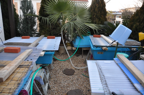 e0075412_21819.jpg