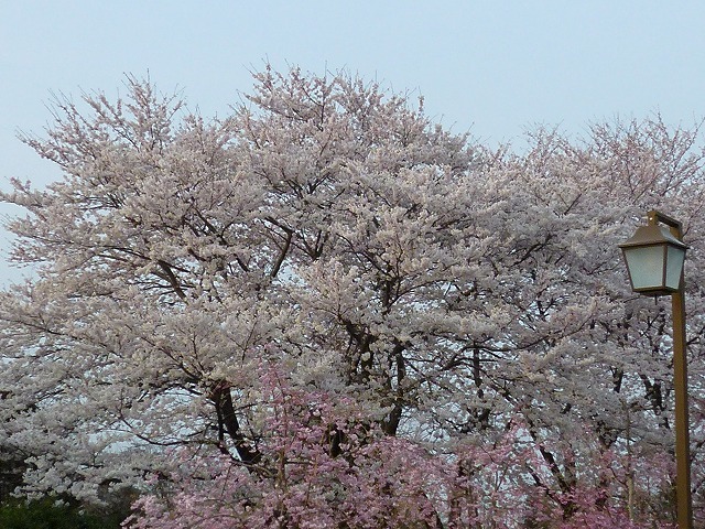 a0098513_14311970.jpg