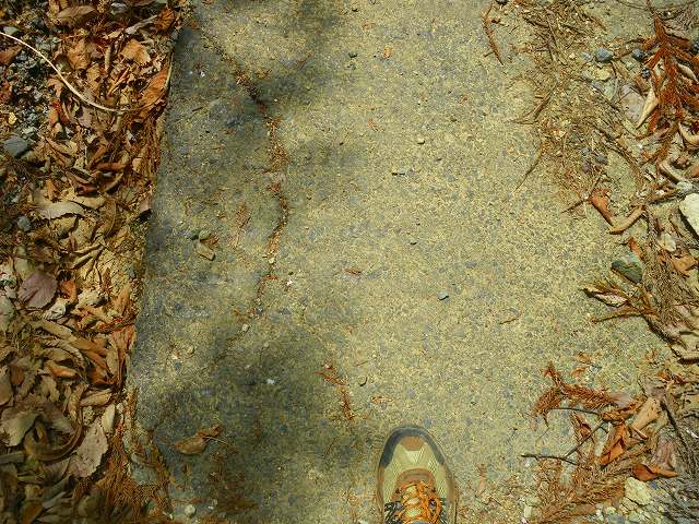 a0243317_12212253.jpg