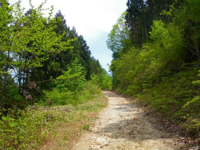 a0243317_1232554.jpg
