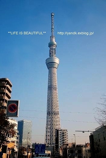 2011年も_d0083623_17505832.jpg