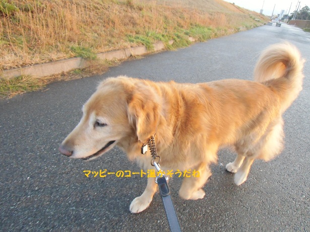 f0114128_1828335.jpg