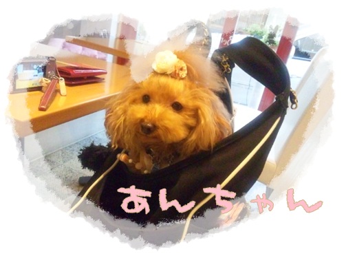 たくさんのお友達_b0084929_8171523.jpg