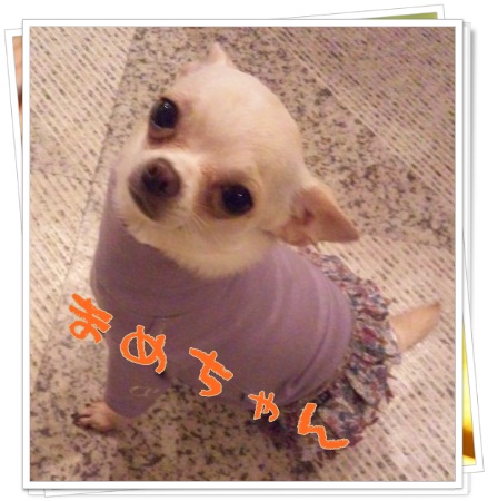 たくさんのお友達_b0084929_8193883.jpg