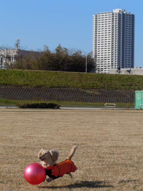 c0117831_16145014.jpg