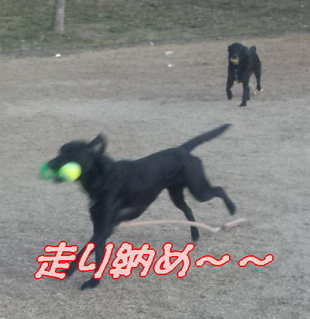 e0125131_23321750.jpg