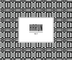 Mos Def introducin \"Harun -No.7-\" to the world_d0003936_19301834.jpg