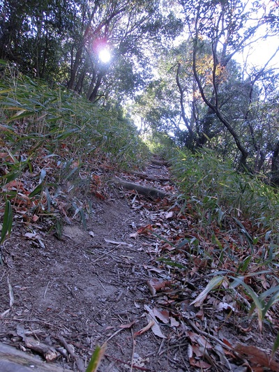 a0143839_20143355.jpg