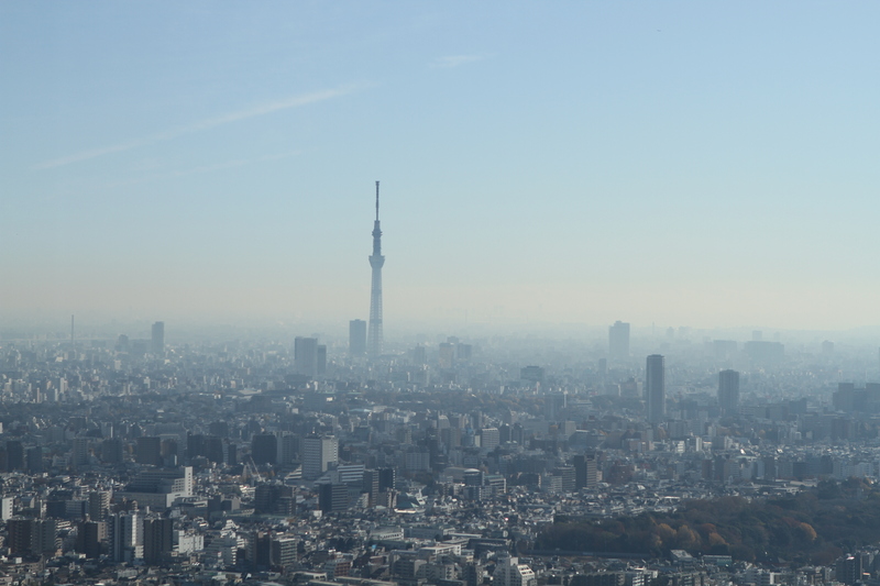 b0211545_12103355.jpg