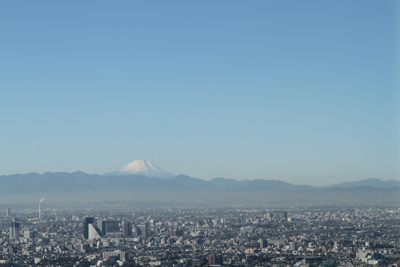 b0211545_1282741.jpg