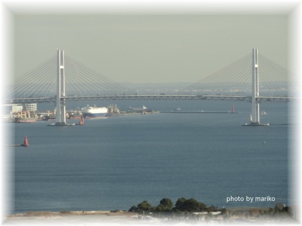 ビュッフェ忘年会_d0165645_1453647.jpg