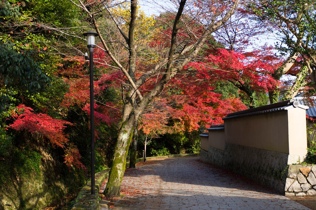 ◆長府川端_b0023047_816441.jpg